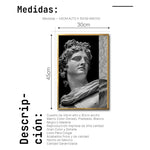Cargar imagen en el visor de la galería, Cuadro Decorativo Esculturas 013 Apolo para Recámara

