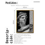 Cargar imagen en el visor de la galería, Cuadro Decorativo Esculturas 013 Apolo para Recámara
