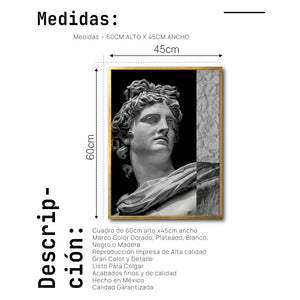 Cuadro Decorativo Esculturas 013 Apolo para Recámara