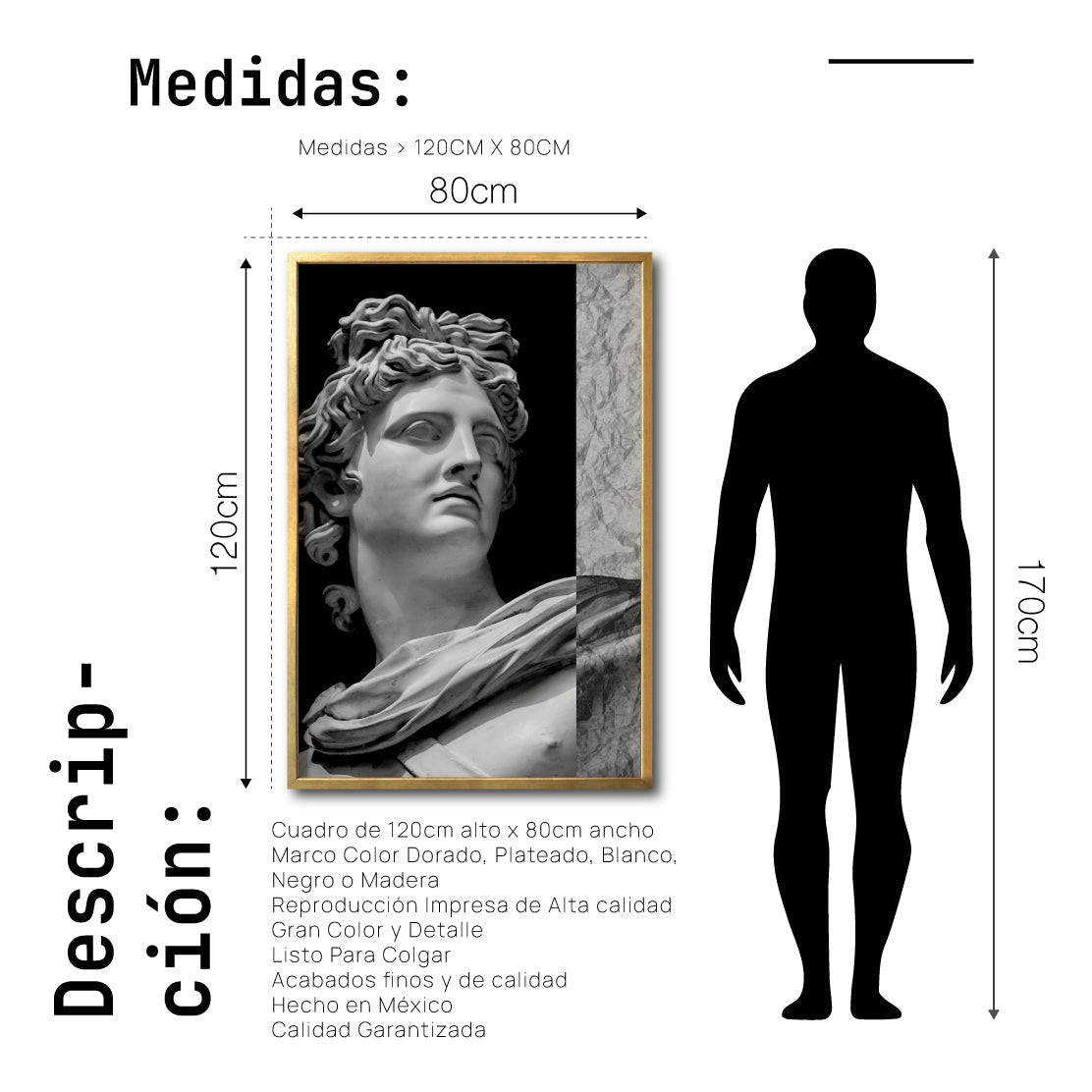 Cuadro Decorativo Esculturas 013 Apolo para Recámara