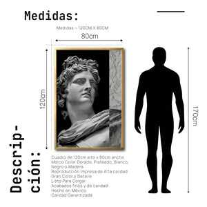 Cuadro Decorativo Esculturas 013 Apolo para Recámara
