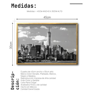Cuadro Decorativo NY 013 - One World Trade Center Nueva York