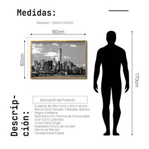Cuadro Decorativo NY 013 - One World Trade Center Nueva York