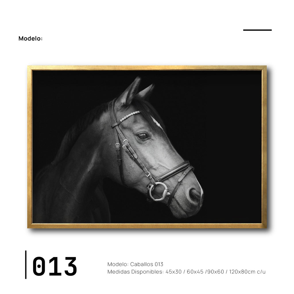 Cuadros Modernos de Caballos. Ciudad de México. Galería 314.