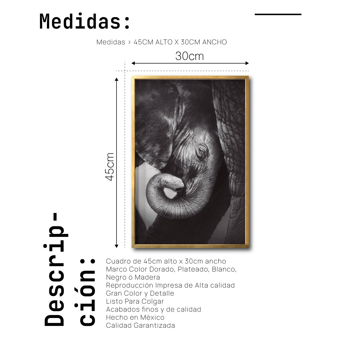 Cuadro Decorativo Fauna 013 - Elefantes Blanco y Negro