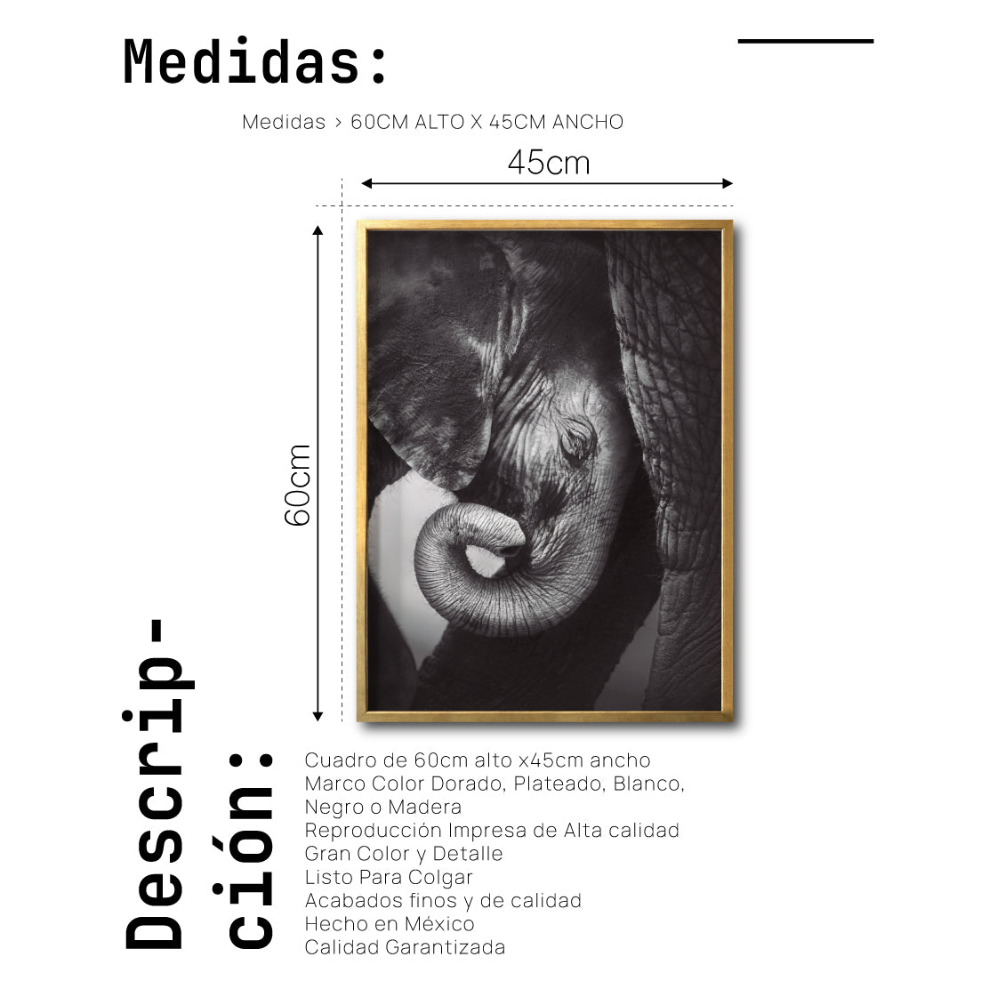 Cuadro Decorativo Fauna 013 - Elefantes Blanco y Negro