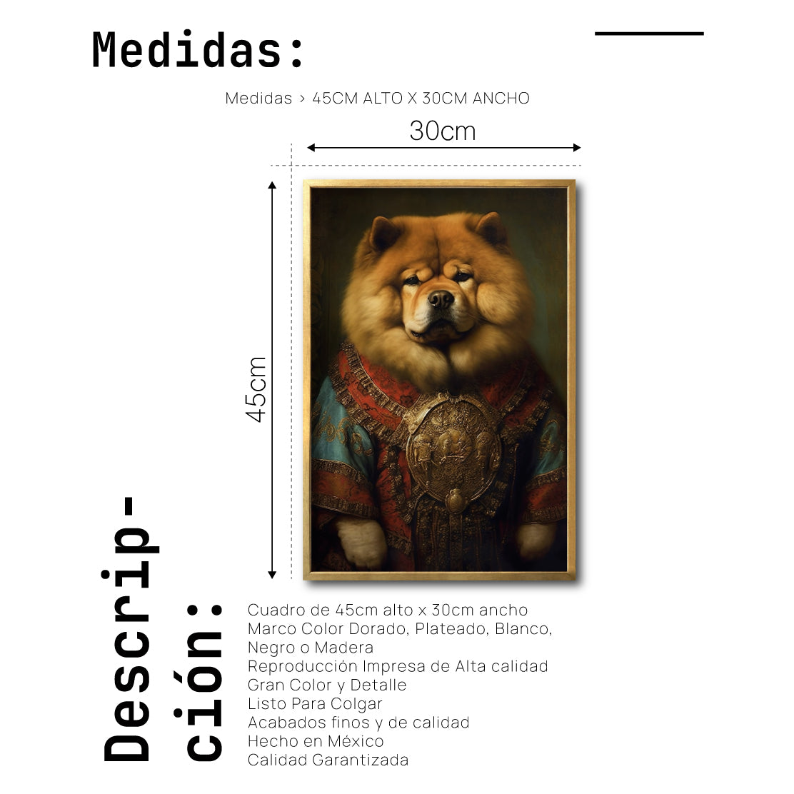 Cuadro Decorativo Perros Epoca 013 - Chow Chow Aristócrata