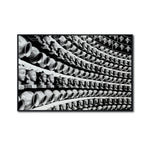 Cargar imagen en el visor de la galería, Cuadro Decorativo - Zen 013 - Cabezas de Buda
