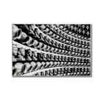 Cargar imagen en el visor de la galería, Cuadro Decorativo - Zen 013 - Cabezas de Buda
