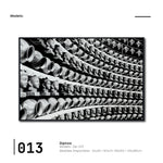 Cargar imagen en el visor de la galería, Cuadro Decorativo - Zen 013 - Cabezas de Buda
