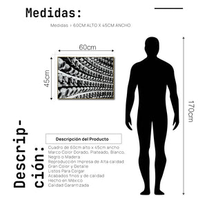 Cuadro Decorativo - Zen 013 - Cabezas de Buda