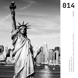 Cuadro Decorativo NY 014 - Estatua de la Libertad Nueva York