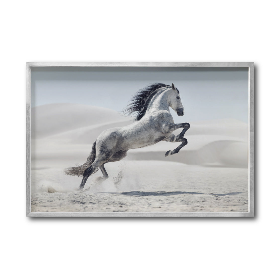 Cuadro Decorativo Caballos 014