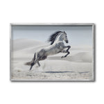Cargar imagen en el visor de la galería, Cuadro Decorativo Caballos 014
