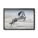 Cargar imagen en el visor de la galería, Cuadro Decorativo Caballos 014
