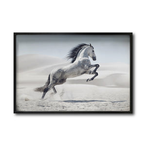 Cuadro Decorativo Caballos 014