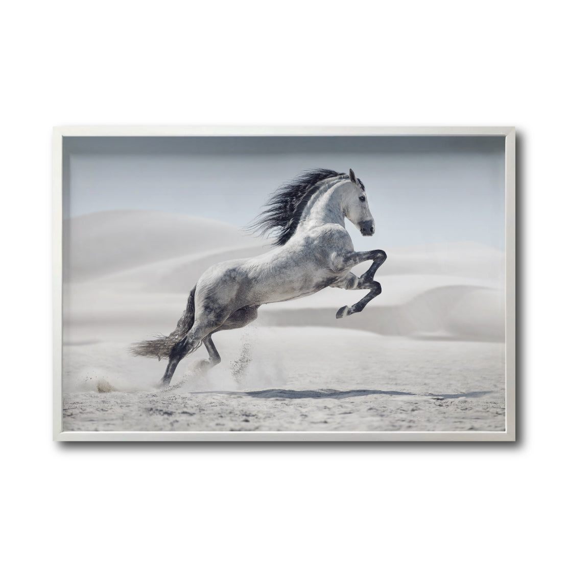 Cuadro Decorativo Caballos 014