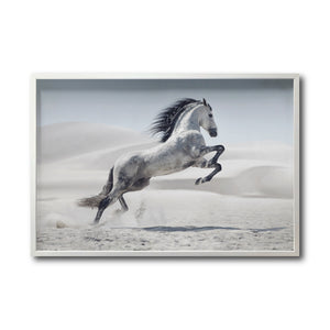 Cuadro Decorativo Caballos 014