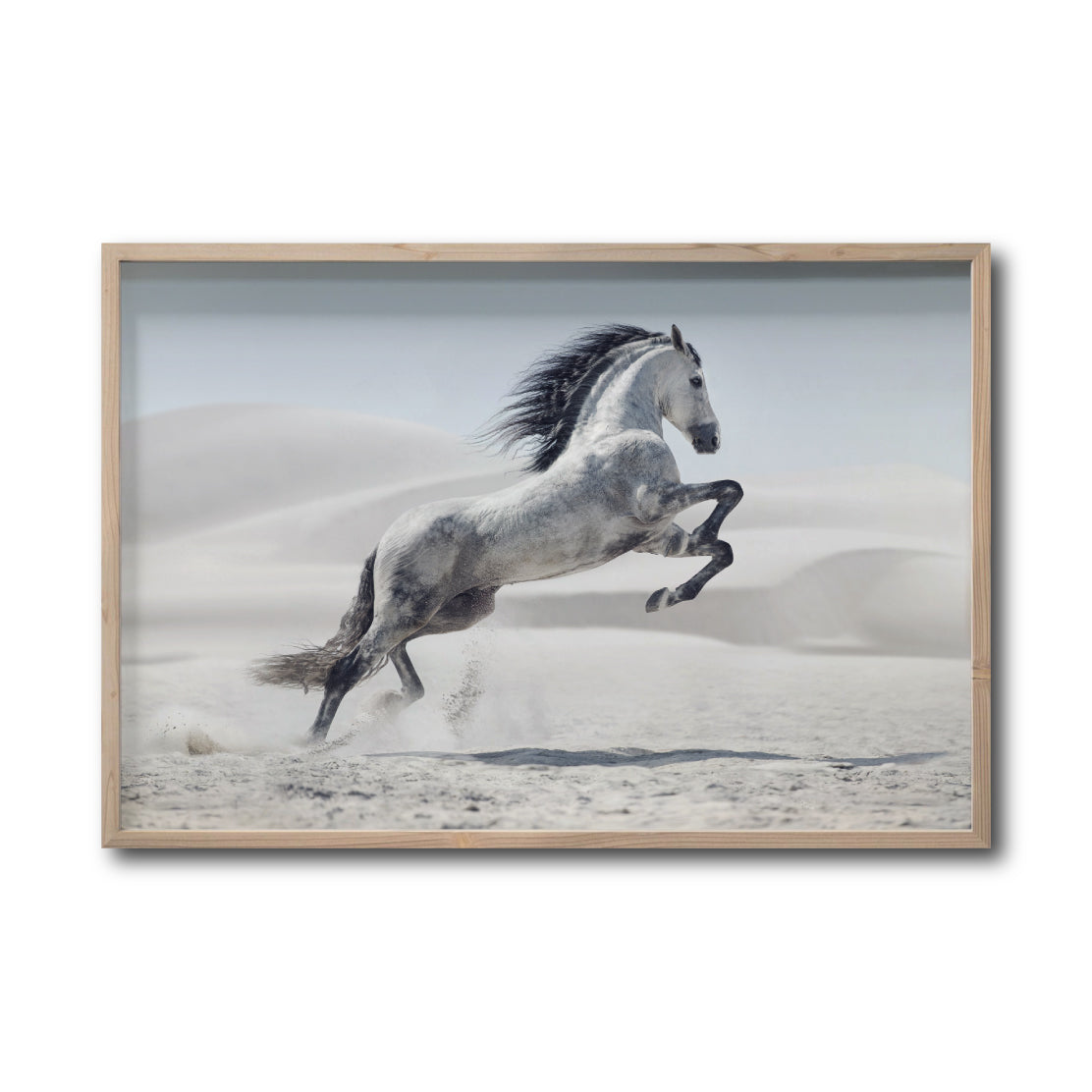 Cuadro Decorativo Caballos 014
