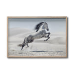Cargar imagen en el visor de la galería, Cuadro Decorativo Caballos 014
