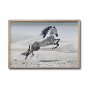 Cuadro Decorativo Caballos 014