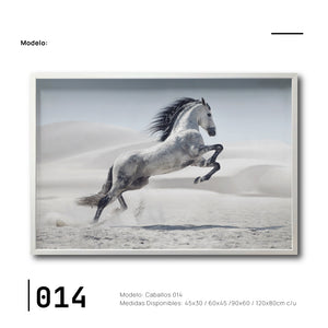 Cuadro Decorativo Caballos 014
