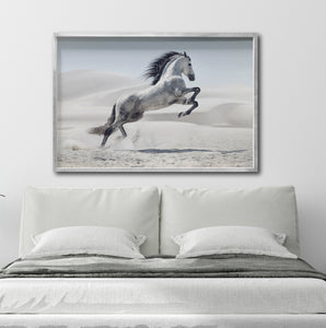 Cuadro Decorativo Caballos 014