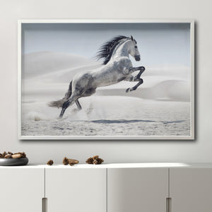 Cuadro Decorativo Caballos 014
