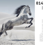 Cargar imagen en el visor de la galería, Cuadro Decorativo Caballos 014
