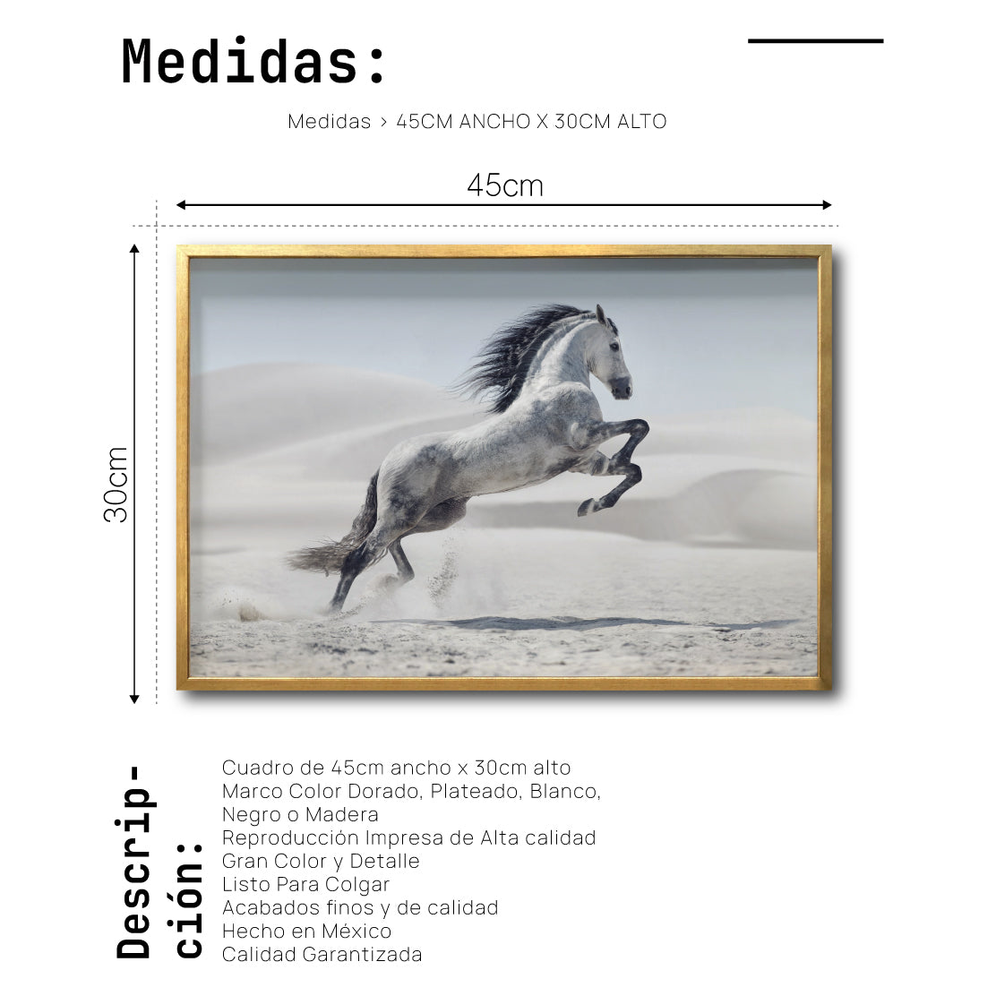 Cuadro Decorativo Caballos 014