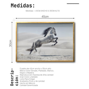 Cuadro Decorativo Caballos 014