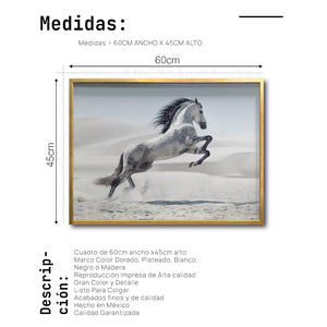 Cuadro Decorativo Caballos 014