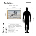 Cargar imagen en el visor de la galería, Cuadro Decorativo Caballos 014
