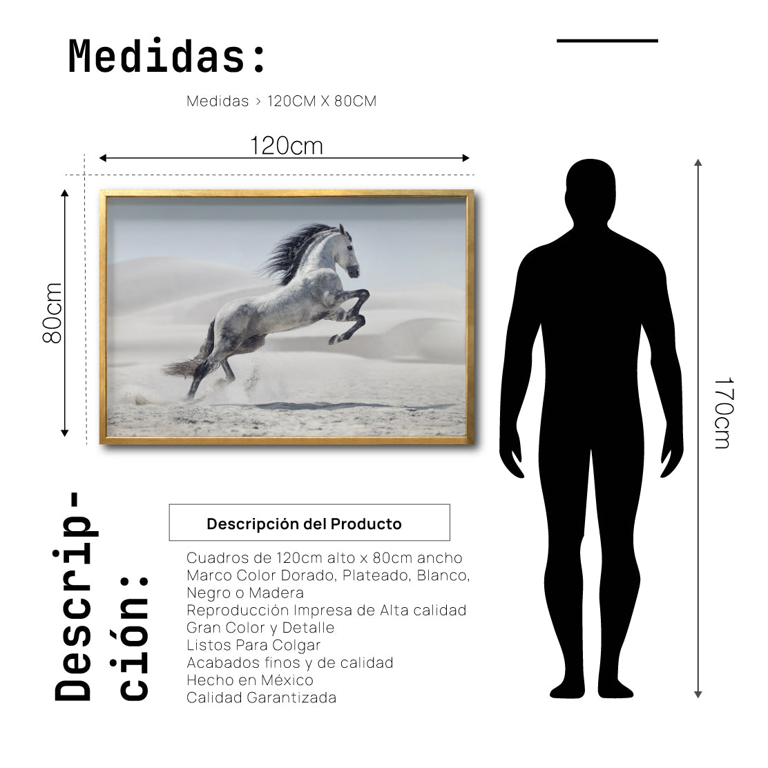 Cuadro Decorativo Caballos 014