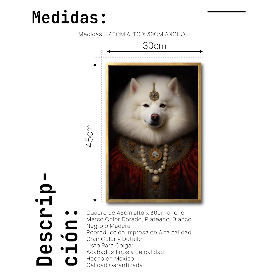 Cuadro Decorativo Perros Epoca 014 - Samoyedo Aristocrata