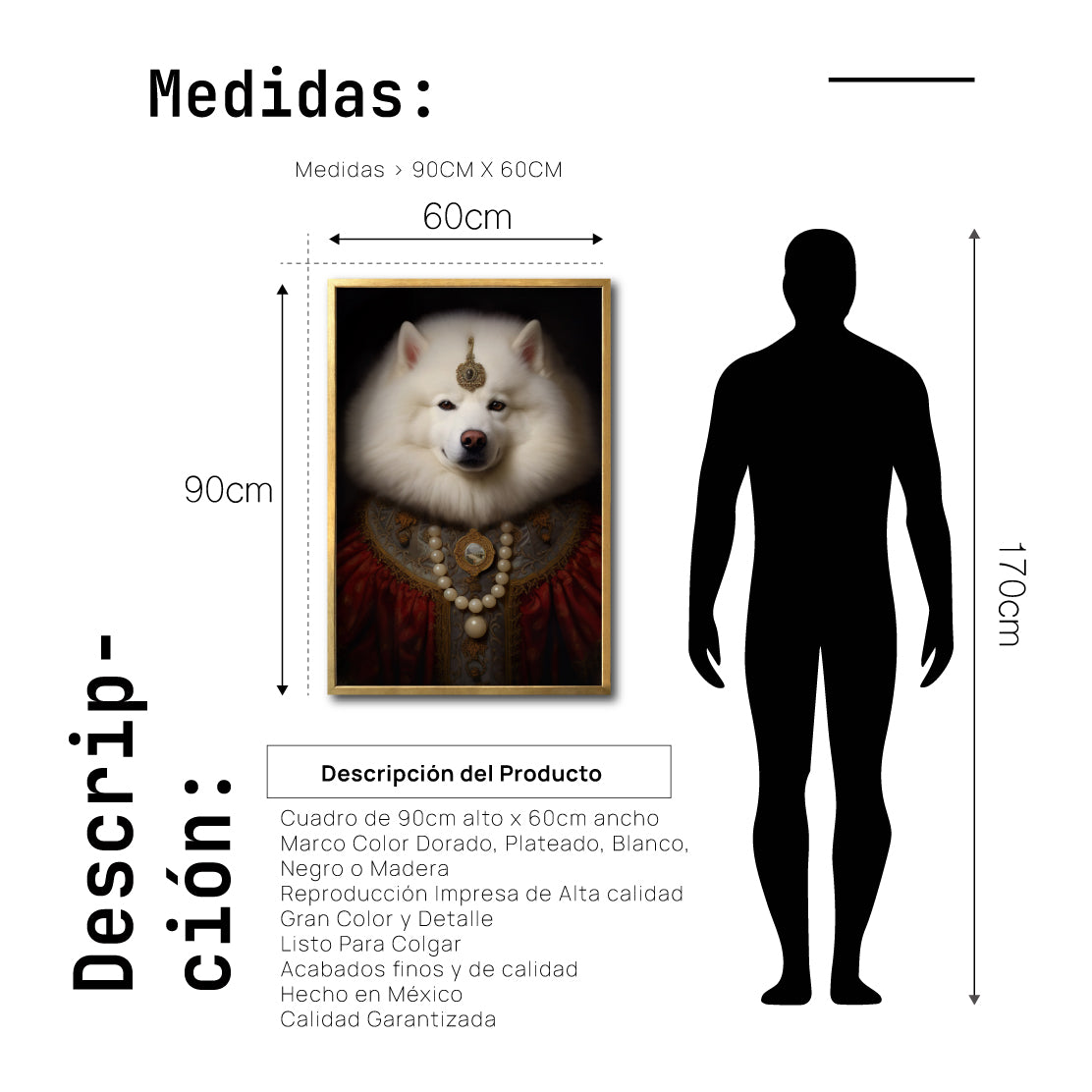 Cuadro Decorativo Perros Epoca 014 - Samoyedo Aristocrata