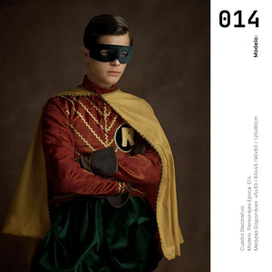 Cuadro Decorativo Personajes Época 014 Superhéroes Robin