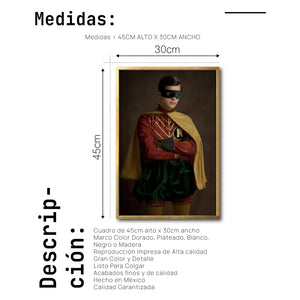Cuadro Decorativo Personajes Época 014 Superhéroes Robin