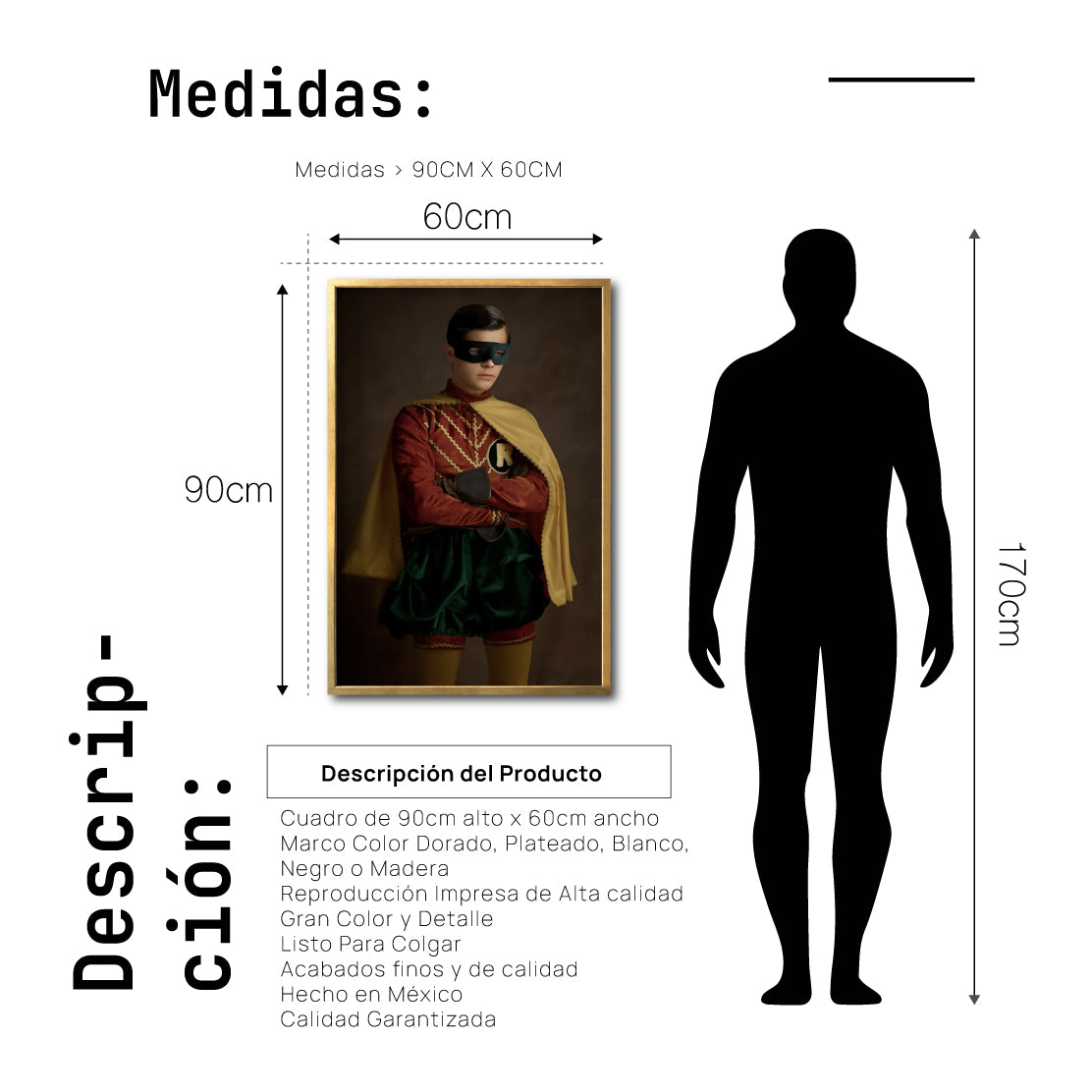Cuadro Decorativo Personajes Época 014 Superhéroes Robin