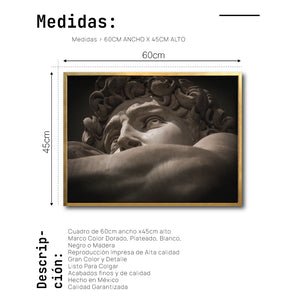 Cuadro Decorativo Esculturas 015 - Para Credenza