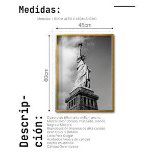 Cuadro Decorativo NY 015 - Estatua de la Libertad New York