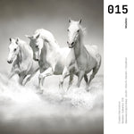 Cargar imagen en el visor de la galería, Cuadro Decorativo Caballos 015
