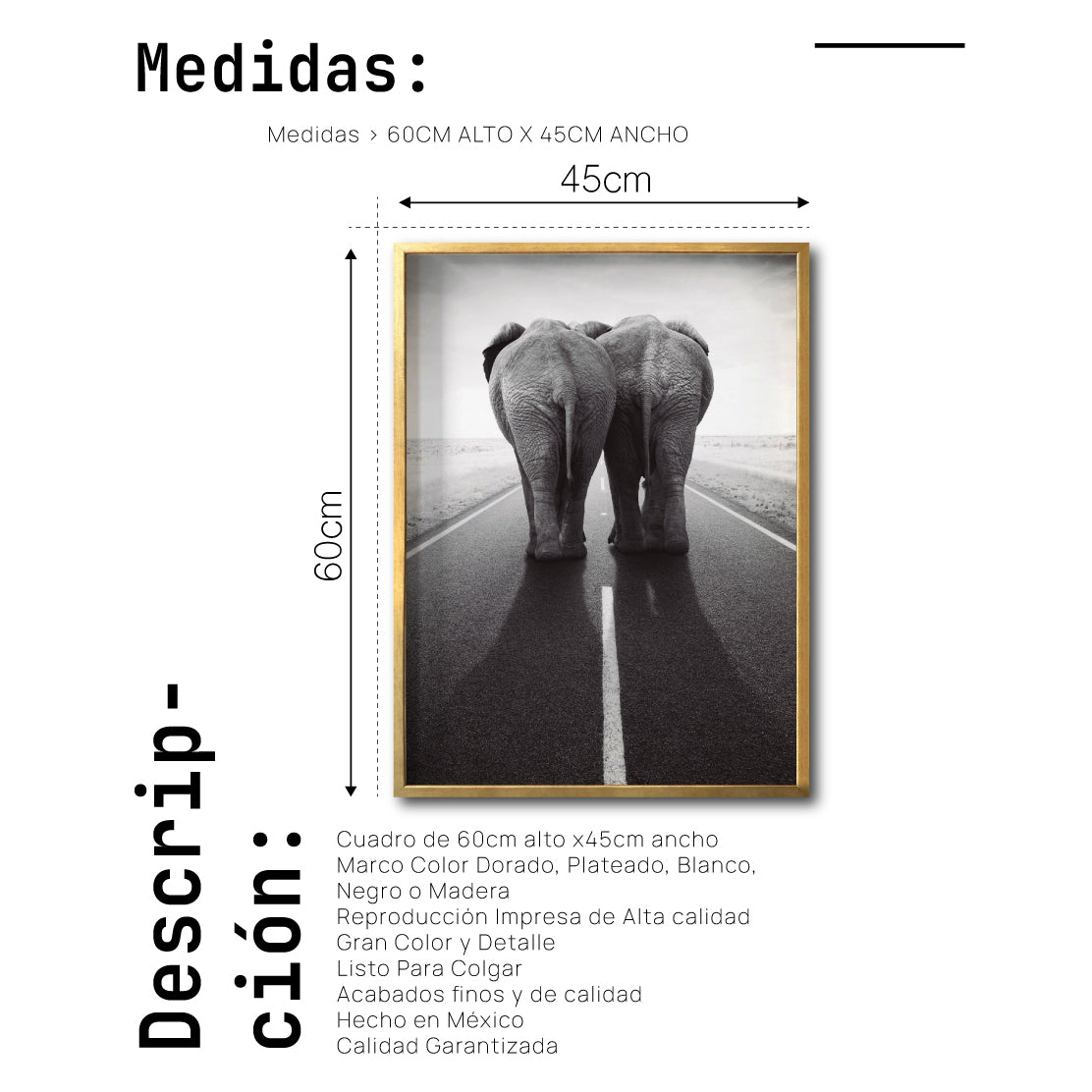 Cuadro Decorativo Fauna 015 -  Elefantes en Carretera Blanco y Negro