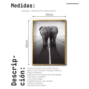 Cuadro Decorativo Fauna 015 -  Elefantes en Carretera Blanco y Negro