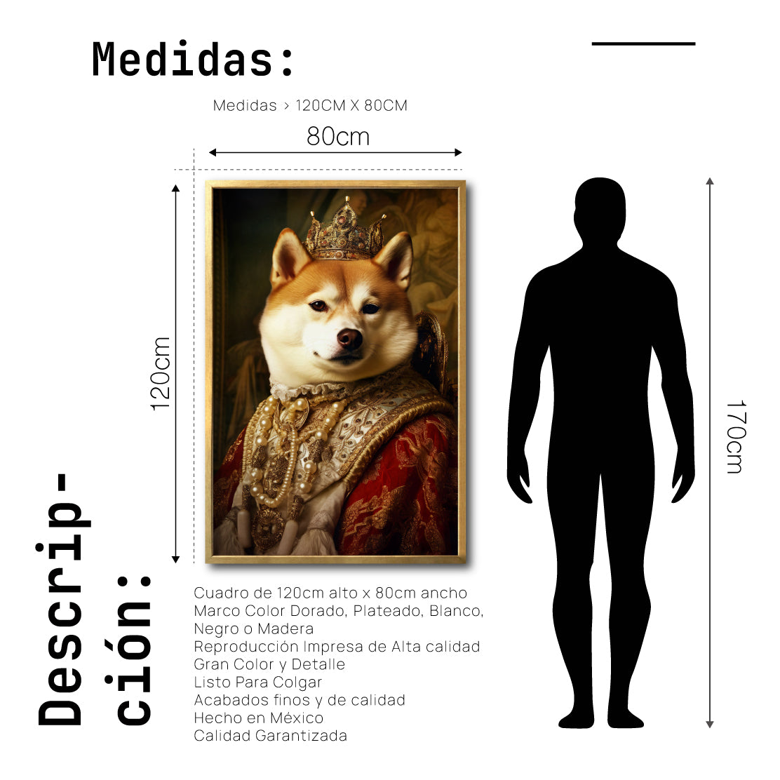 Cuadro Decorativo Perros Epoca 015 - Shiba Inu Aristocrata