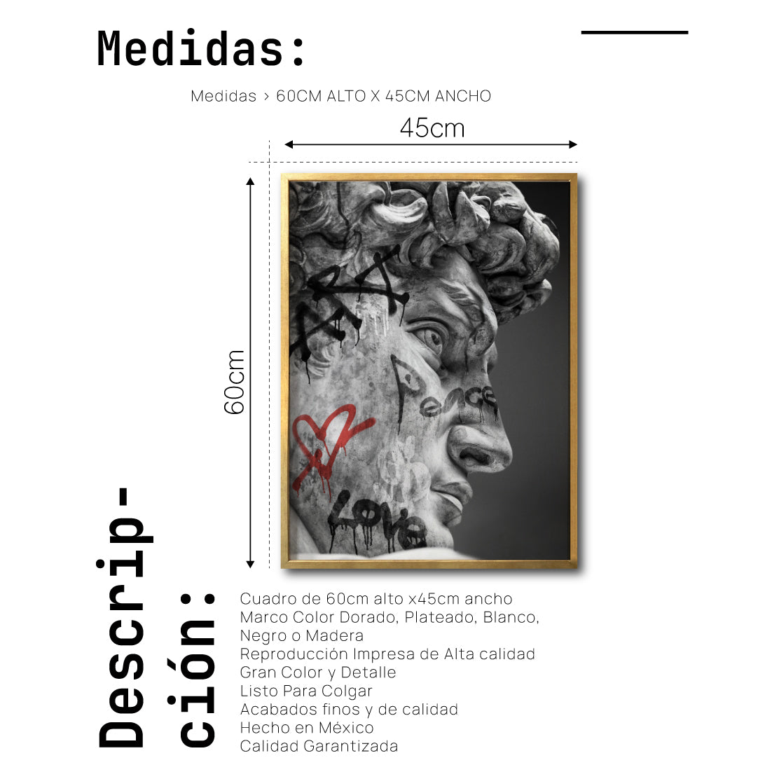 Cuadro Decorativo Esculturas 016 El David