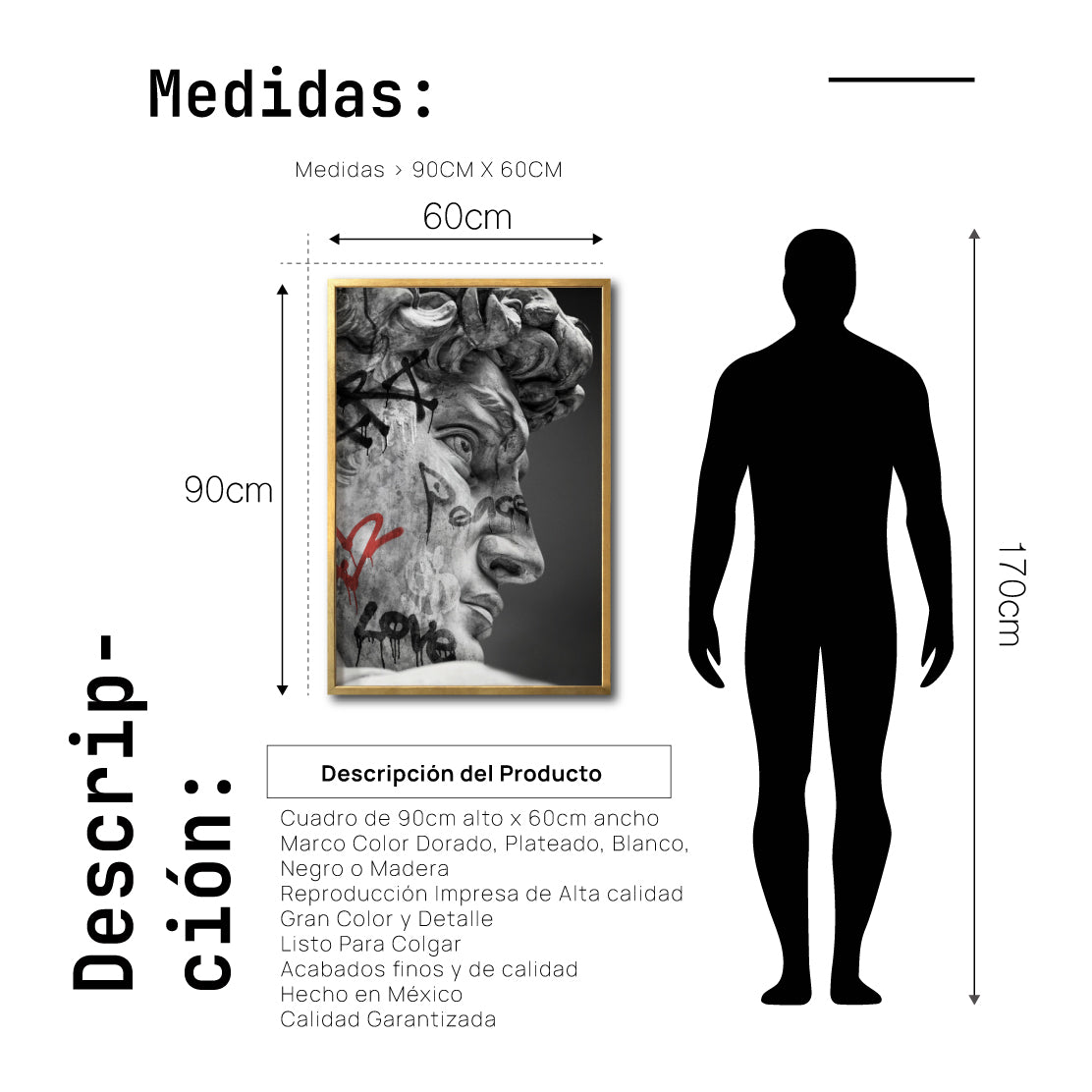 Cuadro Decorativo Esculturas 016 El David
