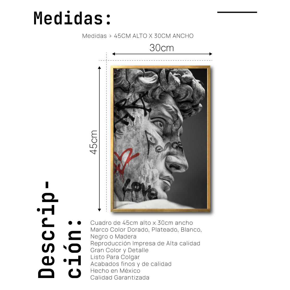 Cuadro Decorativo Esculturas 016 El David
