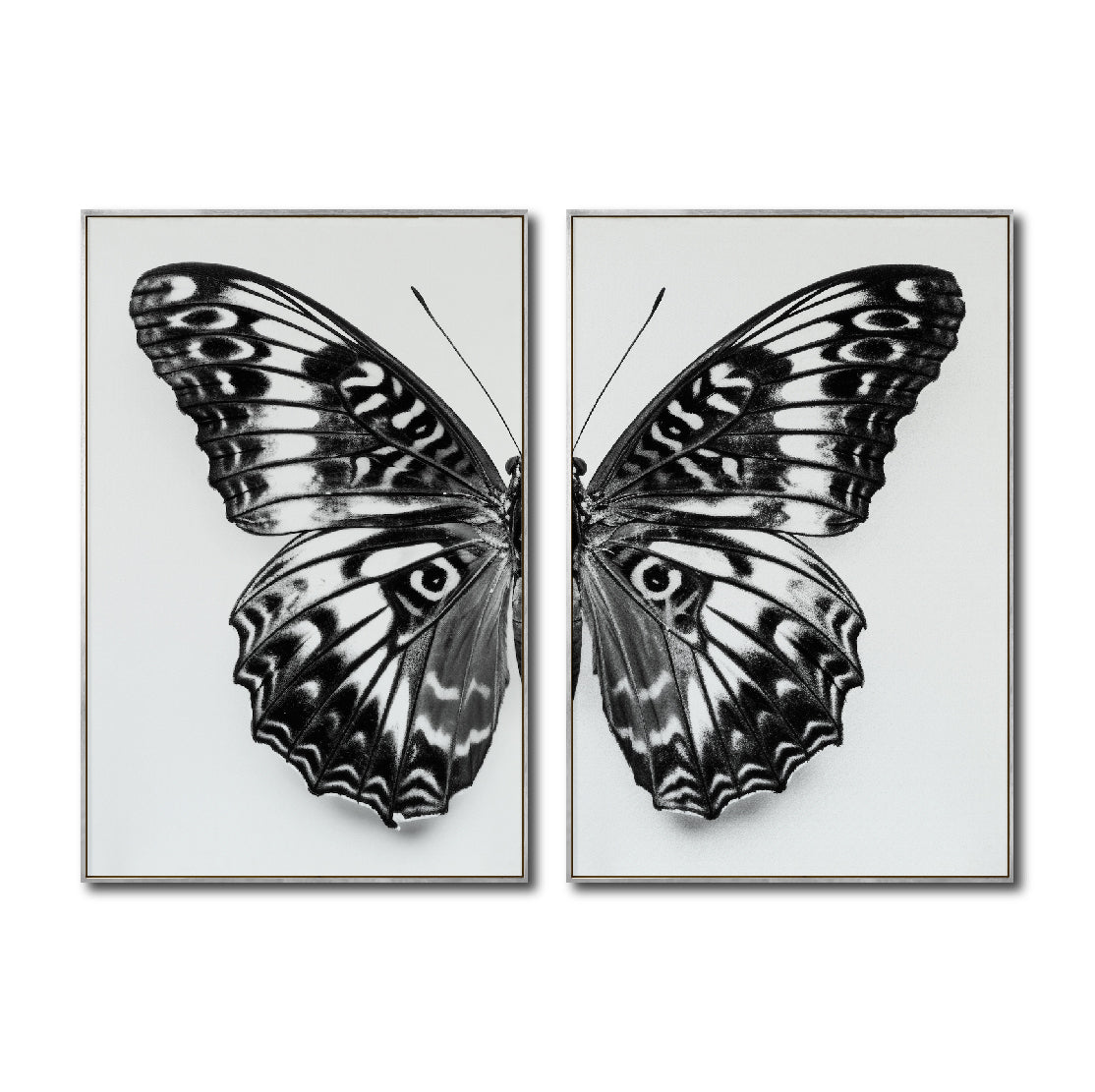 Set 2 Cuadros Decorativos Alas 016