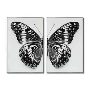Set 2 Cuadros Decorativos Alas 016